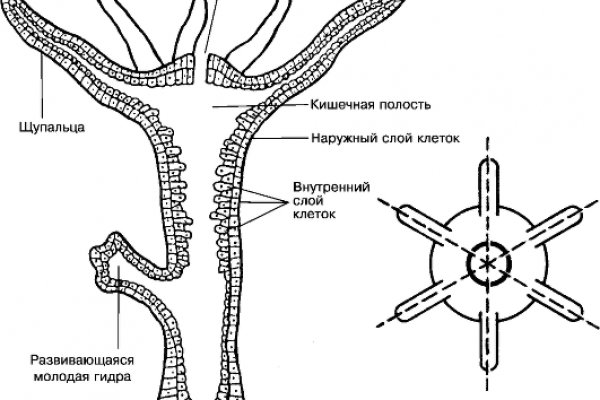 Кракен даркнет маркет